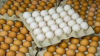 Discontent with the rise in egg prices, weeks away from Ramadan