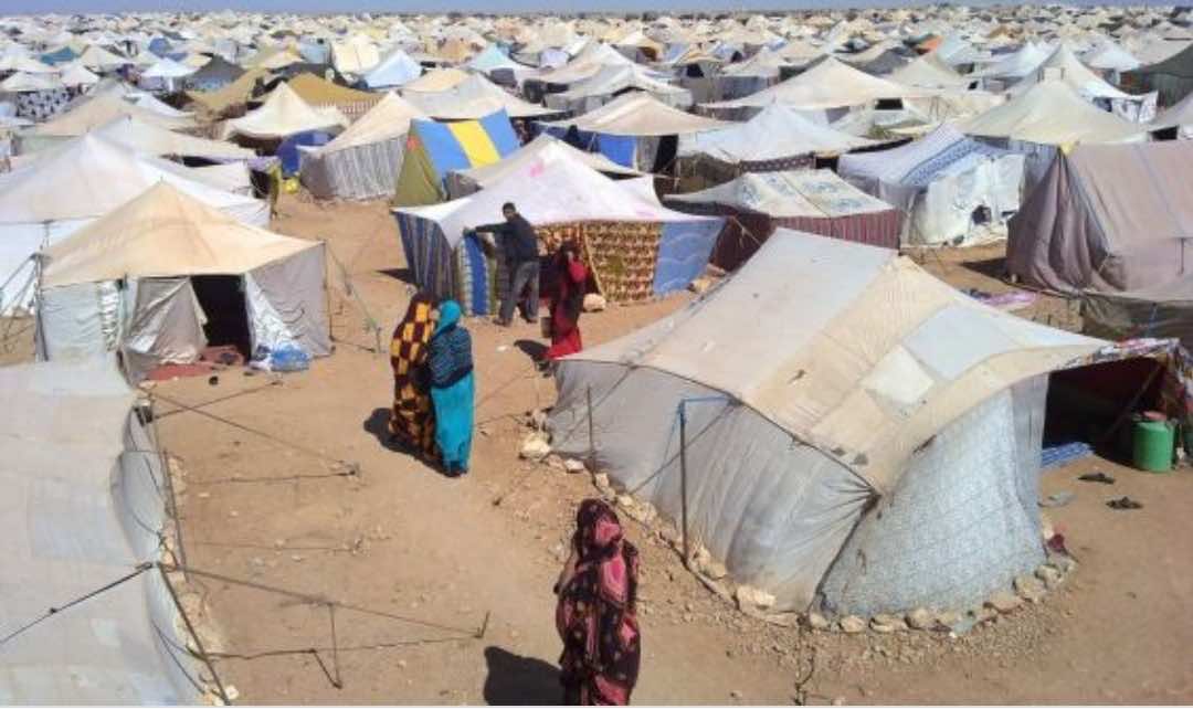 الأمم المتحدة.. خبراء دوليون يستنكرون الوضع المأساوي للساكنة المحتجزة في مخيمات  تندوف - الجريدة 24