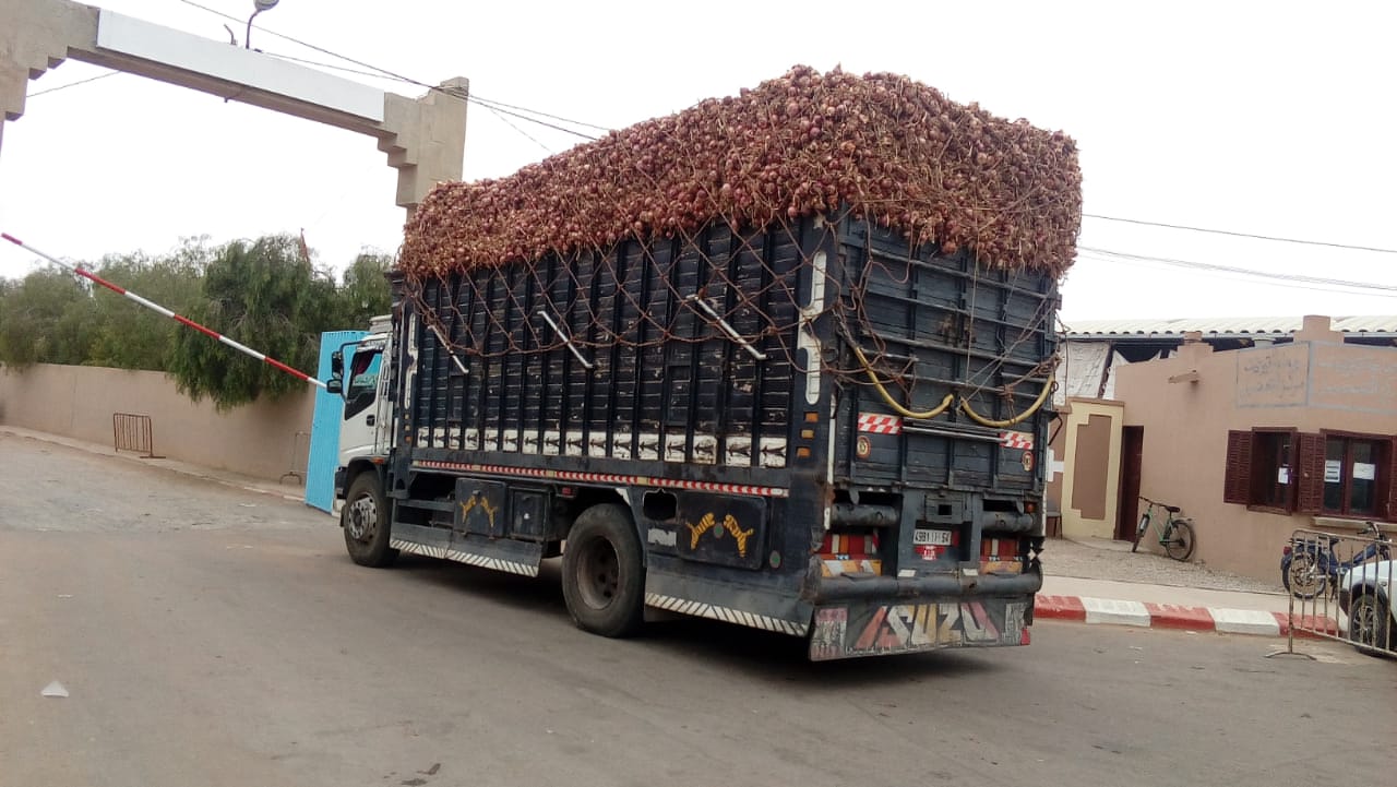 In light of the high cost crisis, the government is betting on the stability of the cost of transporting vegetables and fruits to the markets