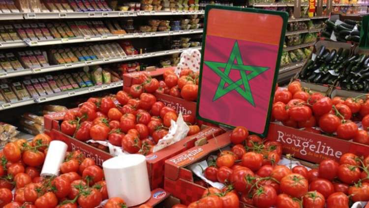 المغرب يعزز ريادته في تصدير الطماطم ويتجاوز إسبانيا مجددا